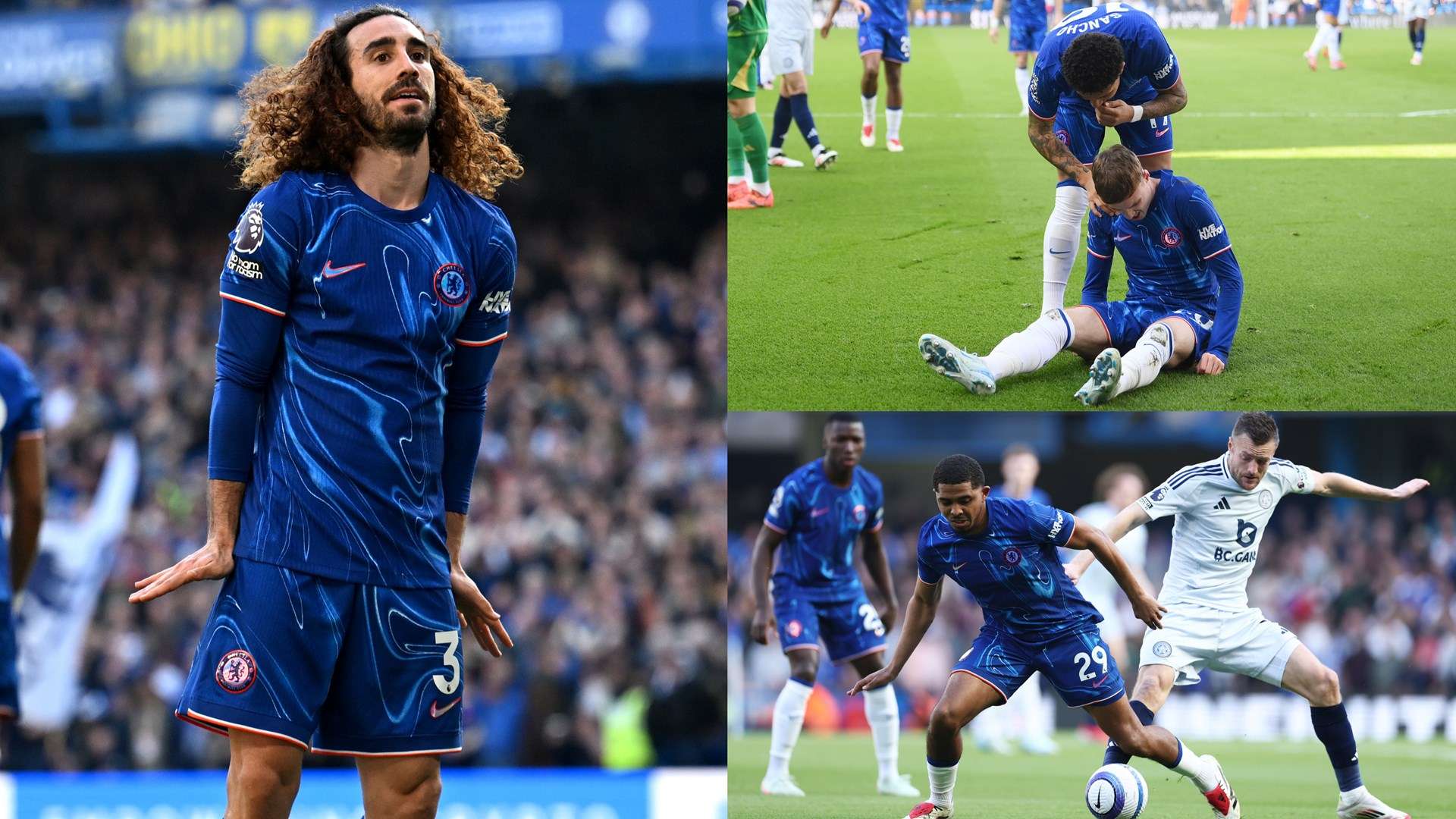 也为本次活 也为本次活